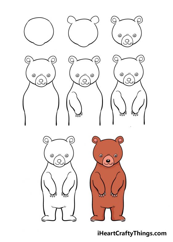 Bear Drawing How To Draw A Bear Step By Step!