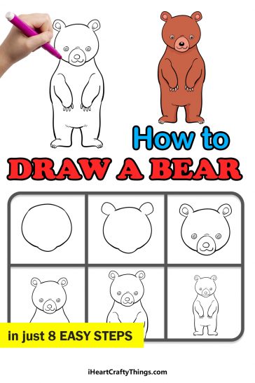 Bear Drawing - How To Draw A Bear Step By Step!