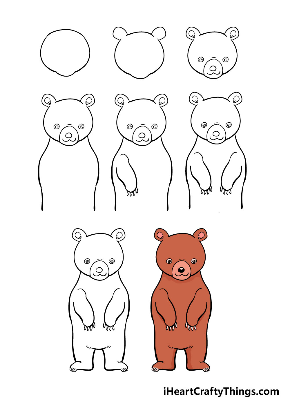 how to draw bear in 8 steps
