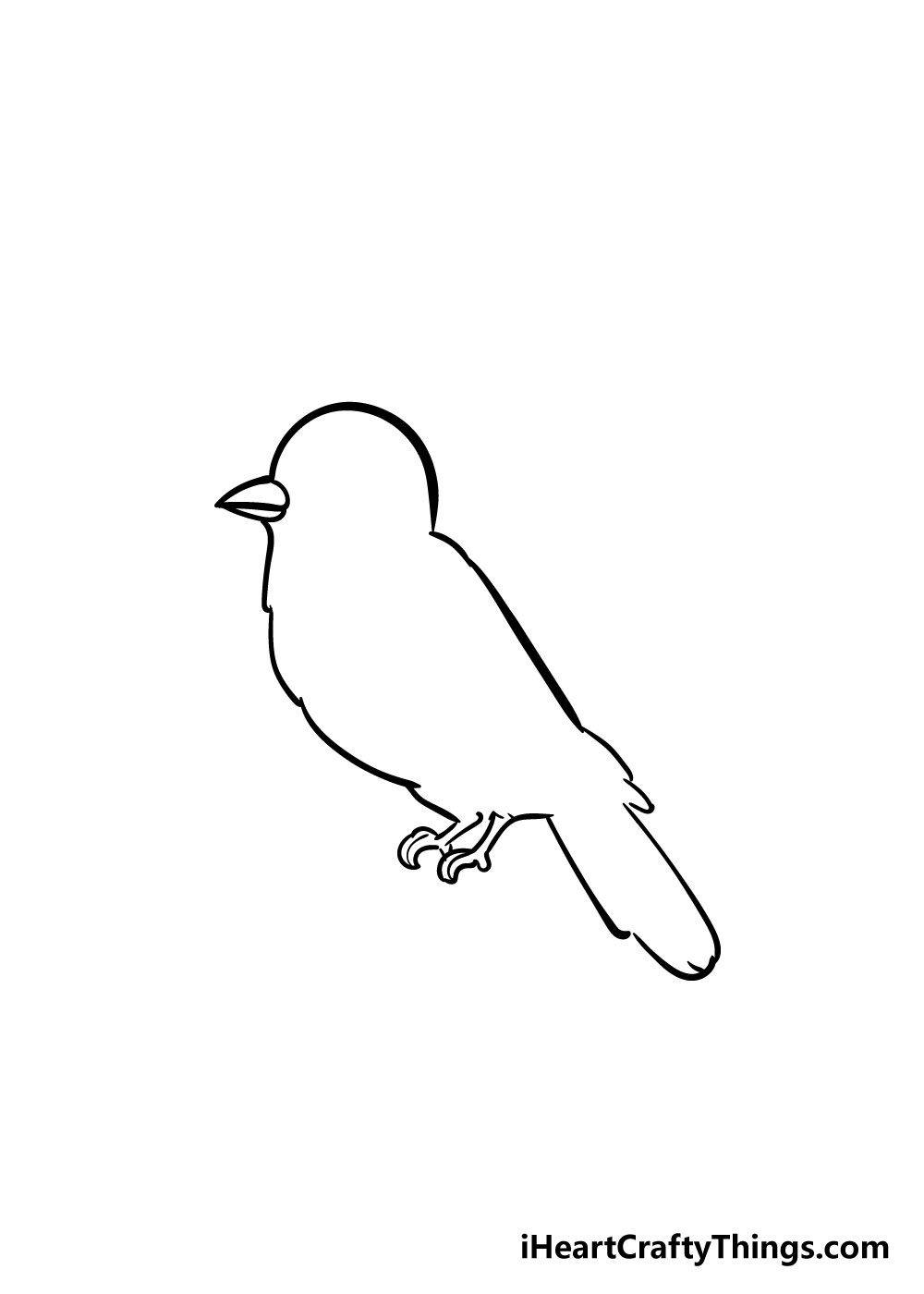 bird drawing step 4