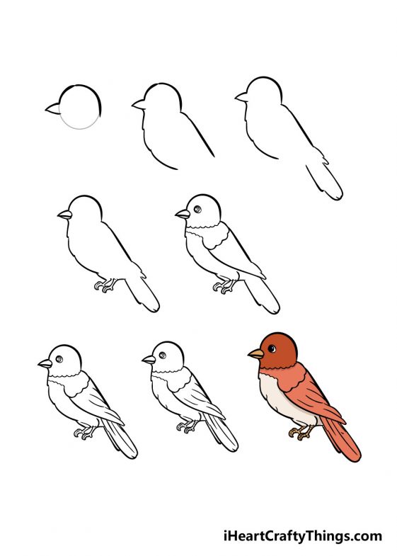 how to draw a small bird step by step