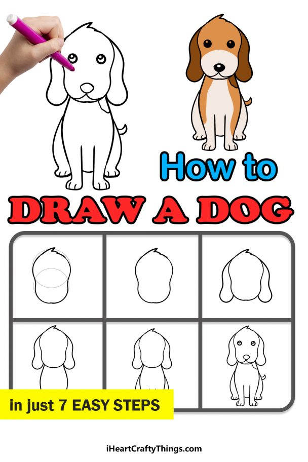 Dog Drawing - How To Draw A Dog Step By Step
