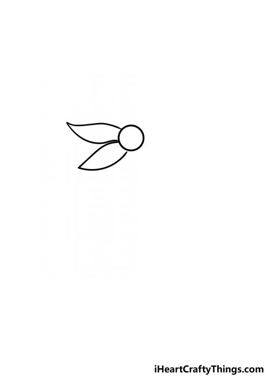 Flower Drawing How To Draw A Flower Step By Step!