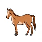 how to draw a horse image
