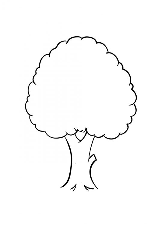 Tree Drawing - How To Draw A Tree Step By Step!