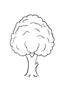 Tree Drawing - How To Draw A Tree Step By Step!