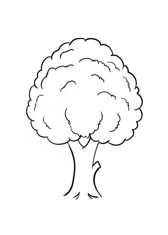 Tree Drawing - How To Draw A Tree Step By Step!