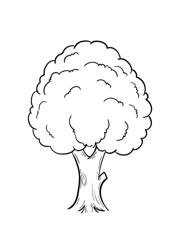 Tree Drawing - How To Draw A Tree Step By Step!