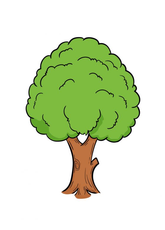 Tree Drawing - How To Draw A Tree Step By Step!