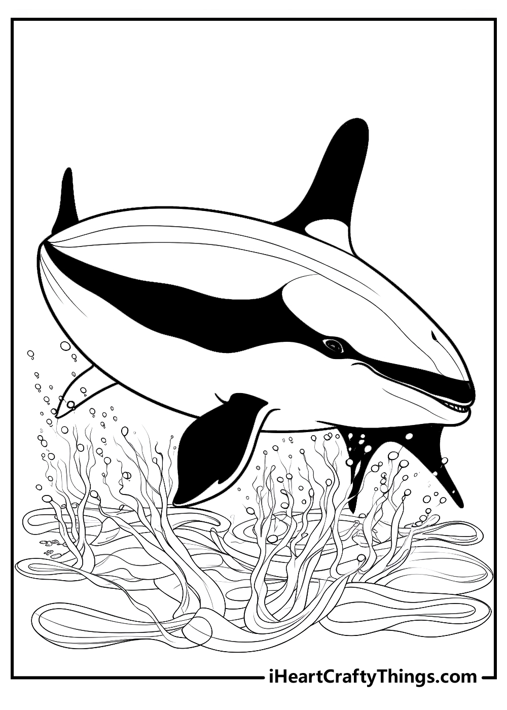 killer whale coloring pages