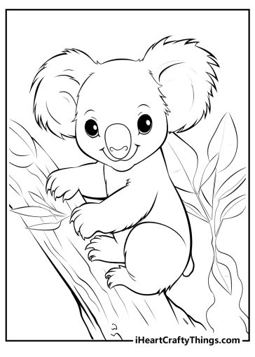 Koalas Coloring Pages (Updated 2023)