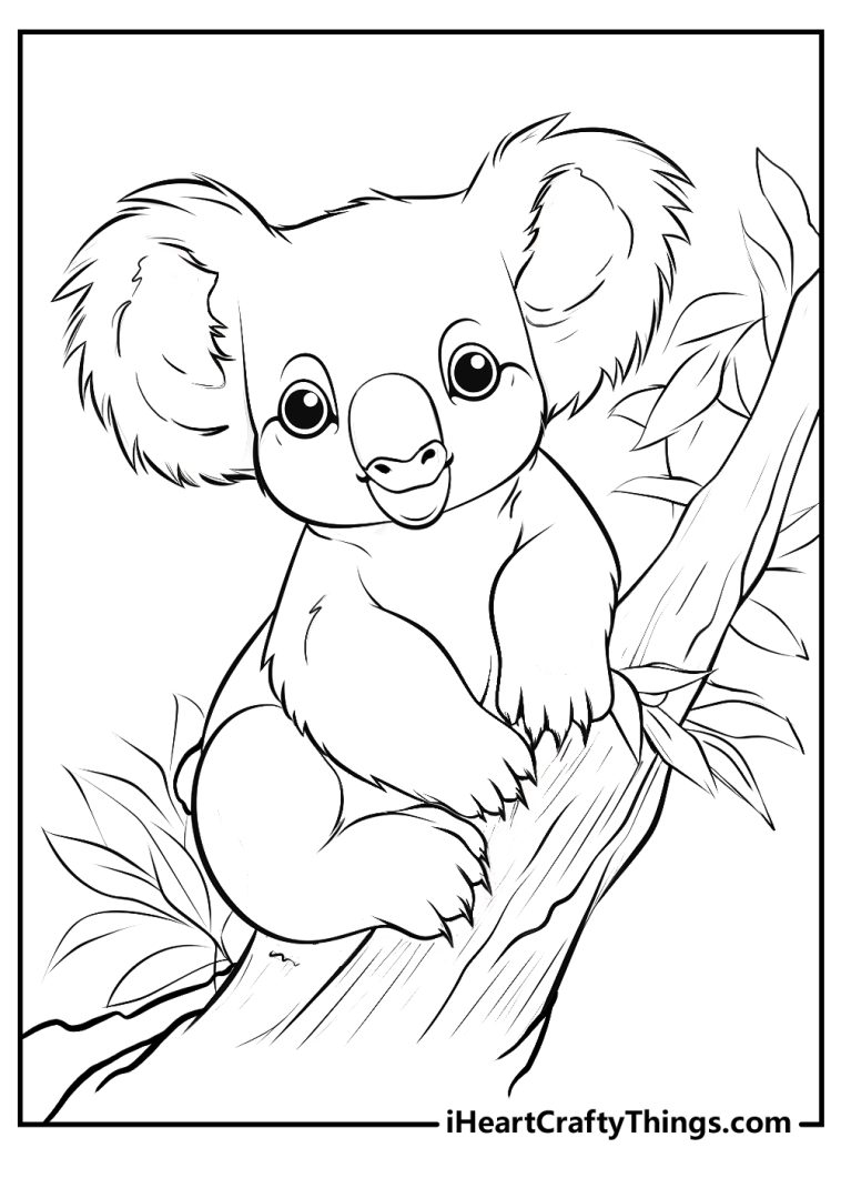 Koalas Coloring Pages (Updated 2023)