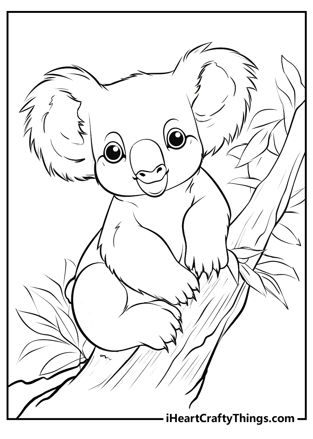 koala coloring printable free download