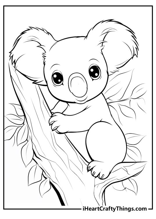 Koalas Coloring Pages (Updated 2023)