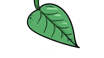 how to draw leaf image