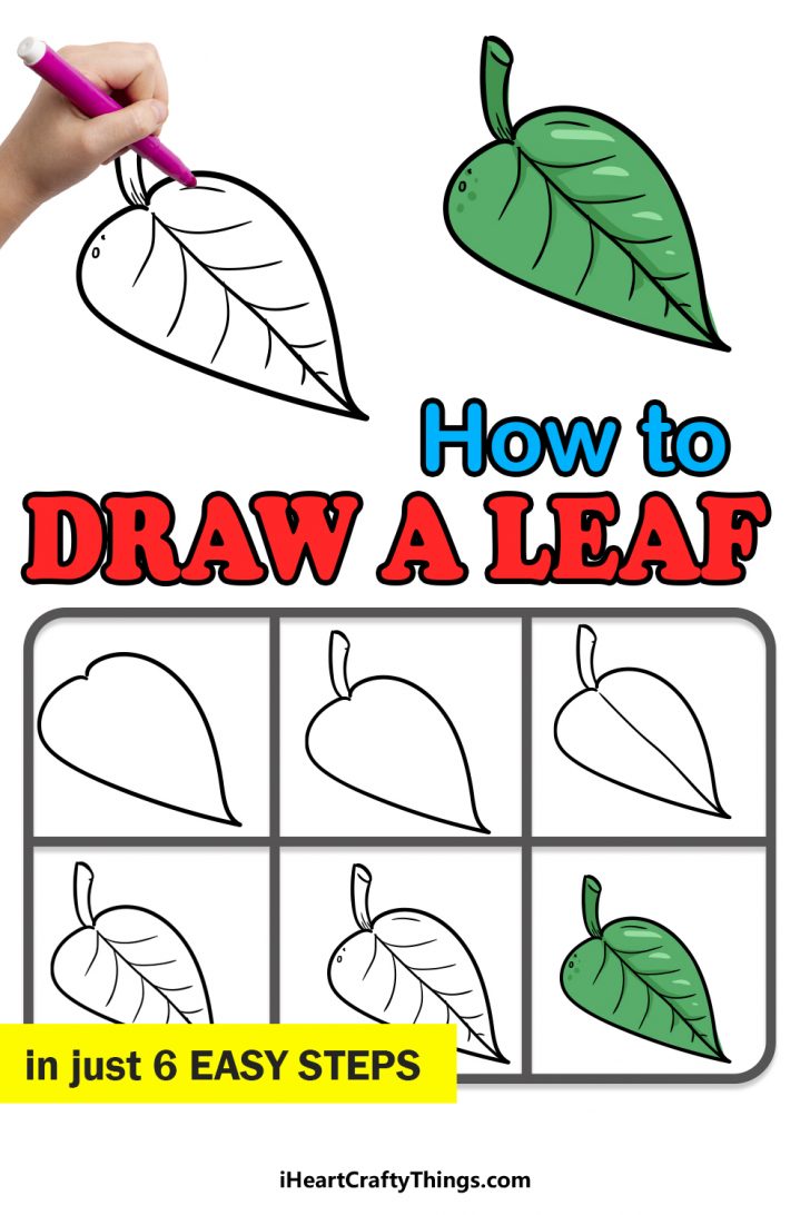 Leaf Drawing How To Draw A Leaf Step By Step