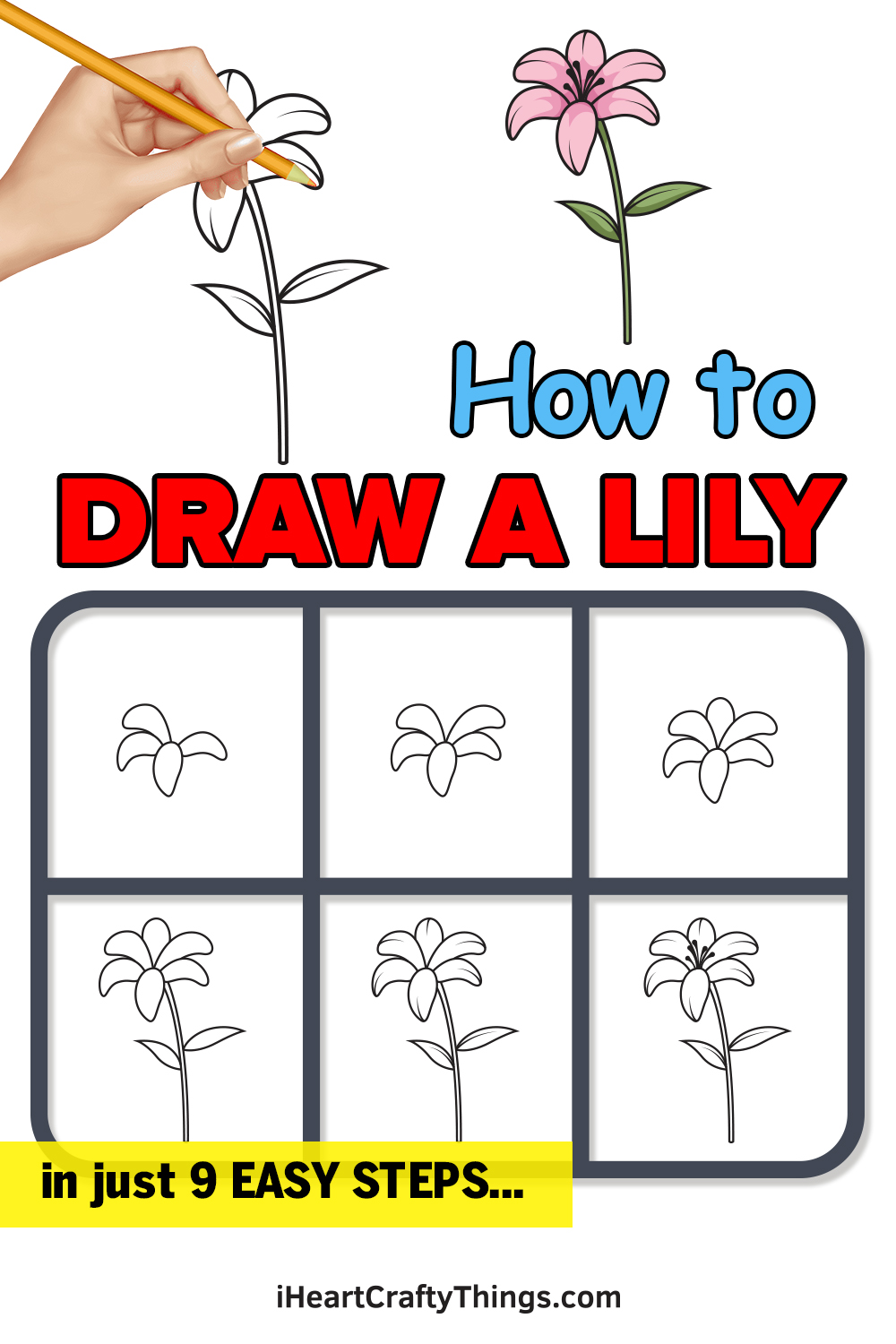 how to draw a lily in 9 easy steps