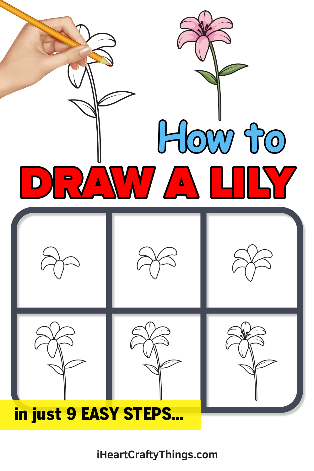 Set of hand drawn white lily flowers in side and top view, sketch style  vector illustration