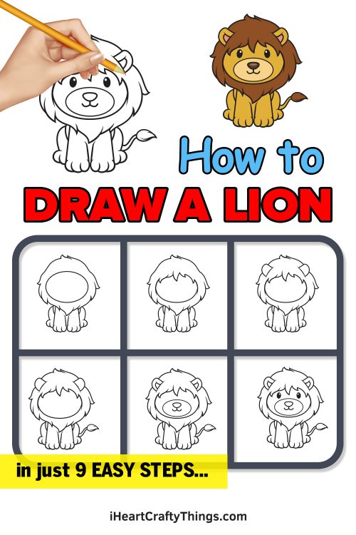 Lion Drawing - How To Draw A Lion Step By Step