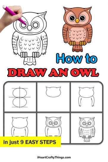 Owl Drawing - How To Draw An Owl Step By Step!