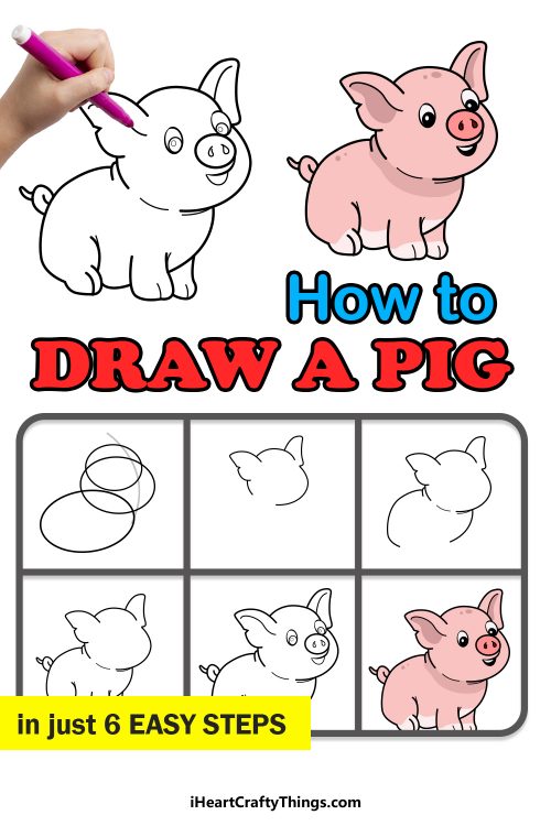 Pig Drawing - How To Draw A Pig Step By Step!