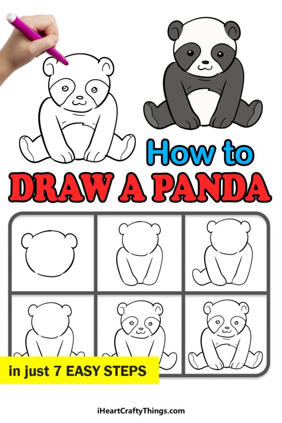 Panda Drawing - How To Draw A Panda Step By Step