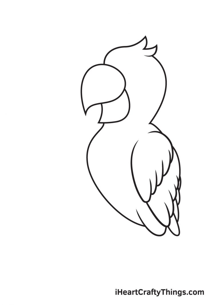 Parrot Drawing - How To Draw A Parrot Step By Step