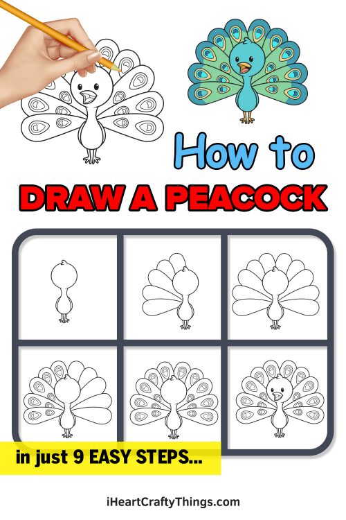 Peacock Drawing - How To Draw A Peacock Step By Step