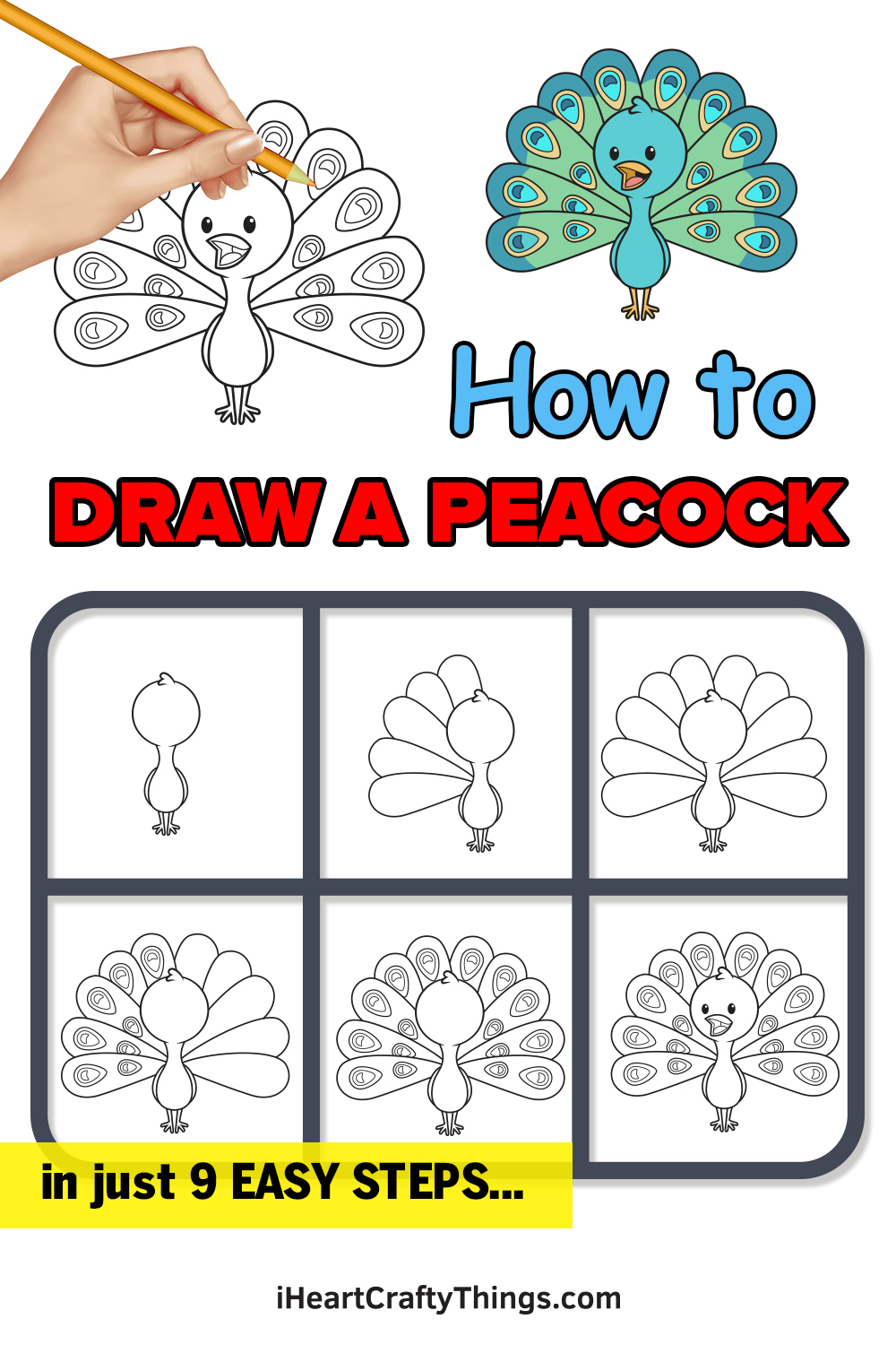 how to draw a peacock step by step