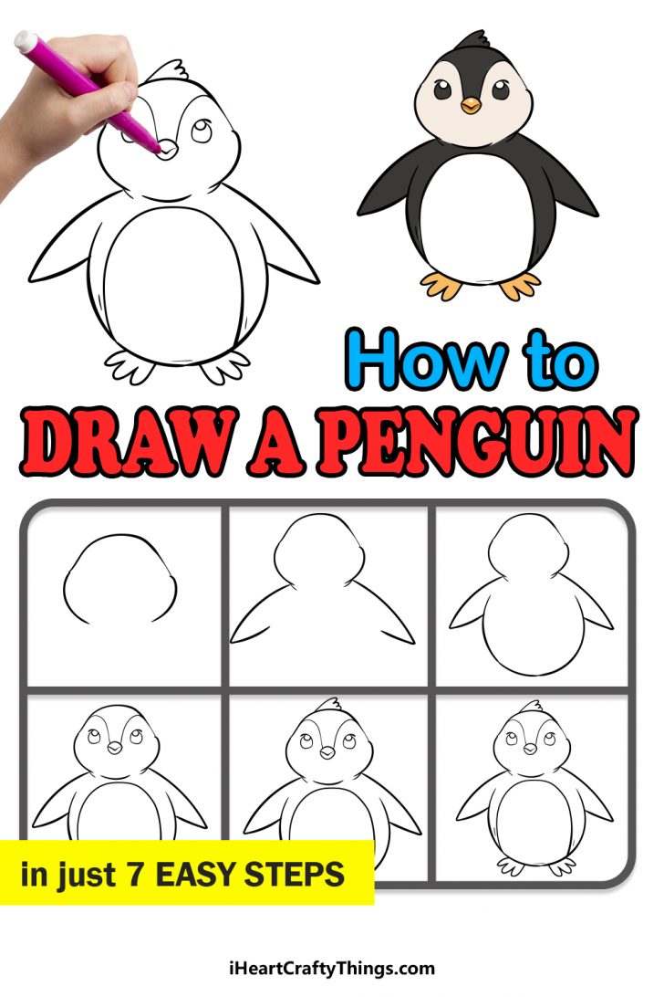 Penguin Drawing - How To Draw Penguin Step By Step