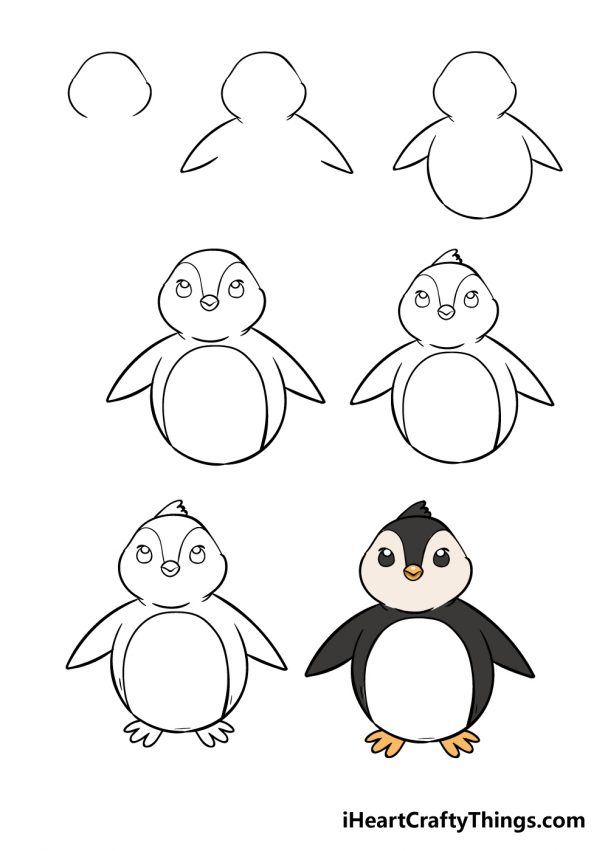 Penguin Drawing - How To Draw Penguin Step By Step