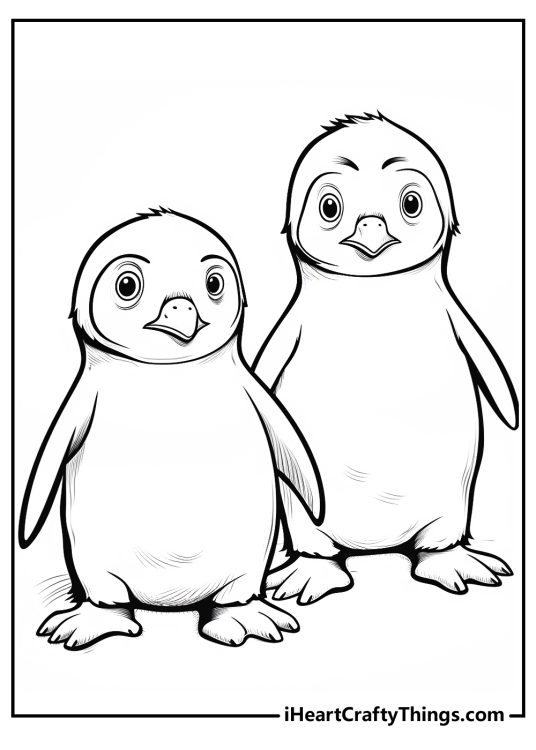 Printable coloring picture for children featuring two realistic penguins standing side by side