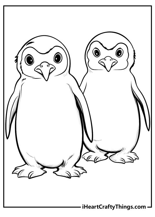Free printable coloring image presenting two very serious-looking realistic penguins