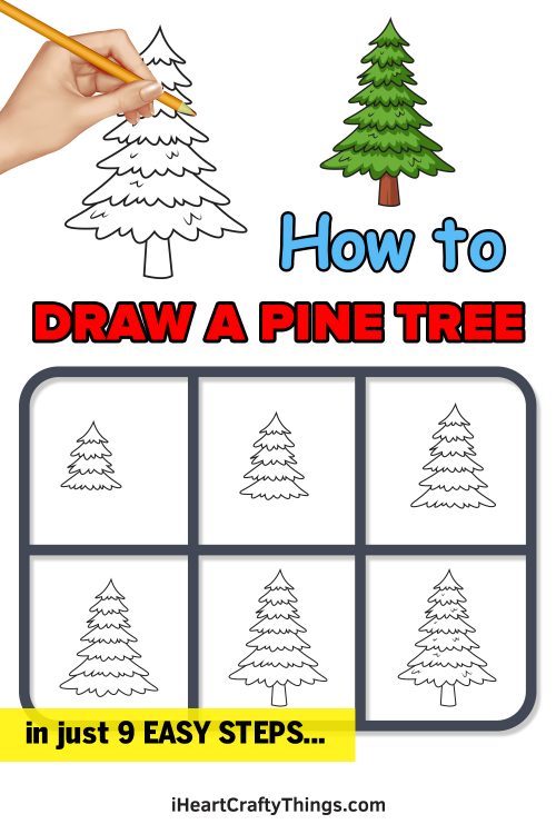 Pine Tree Drawing - How To Draw A Pine Tree Step By Step