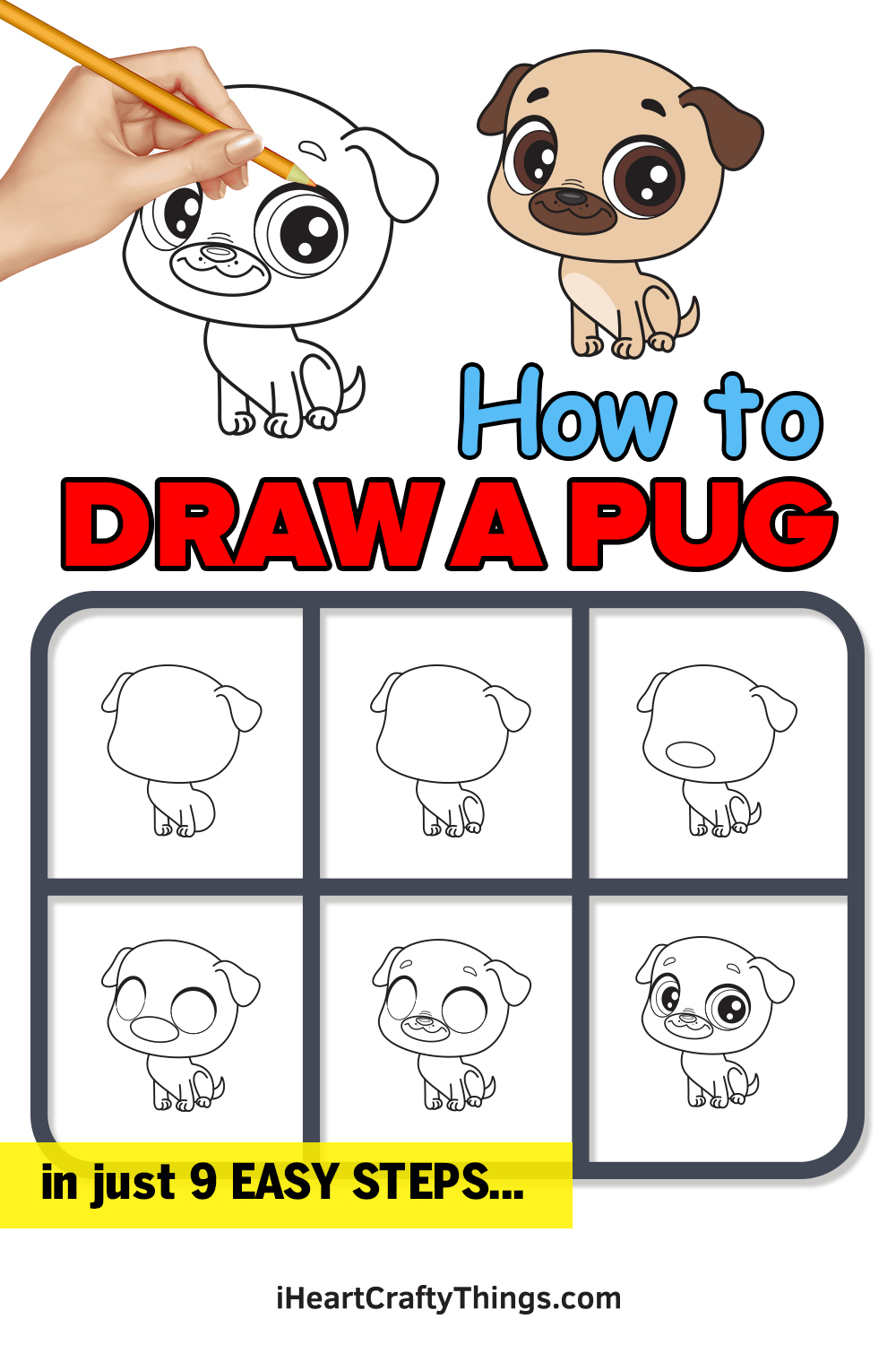 how to draw a pug in 9 easy steps