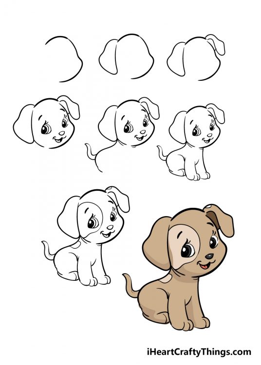 Step by step drawing of a puppy
