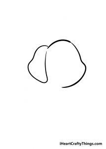 Puppy ear drawing step 1