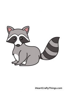 Raccoon Drawing - How To Draw A Raccoon Step By Step