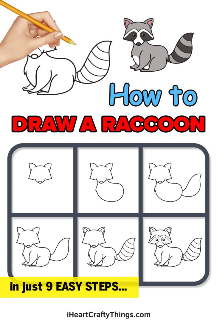 Raccoon Drawing - How To Draw A Raccoon Step By Step