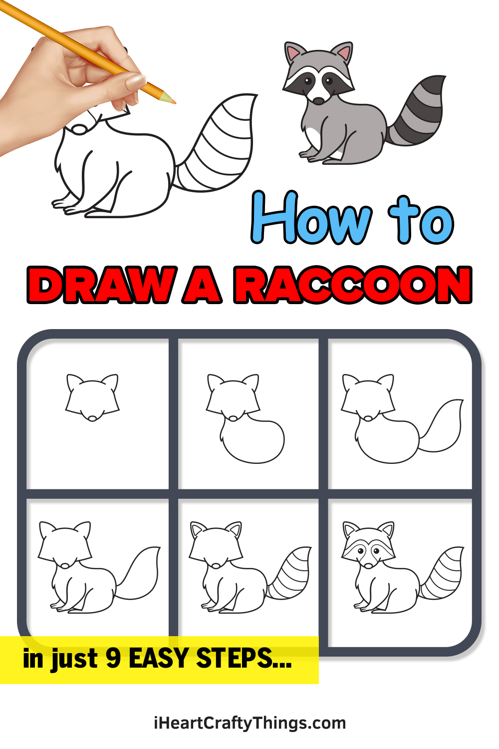 how to draw a raccoon in 9 easy steps