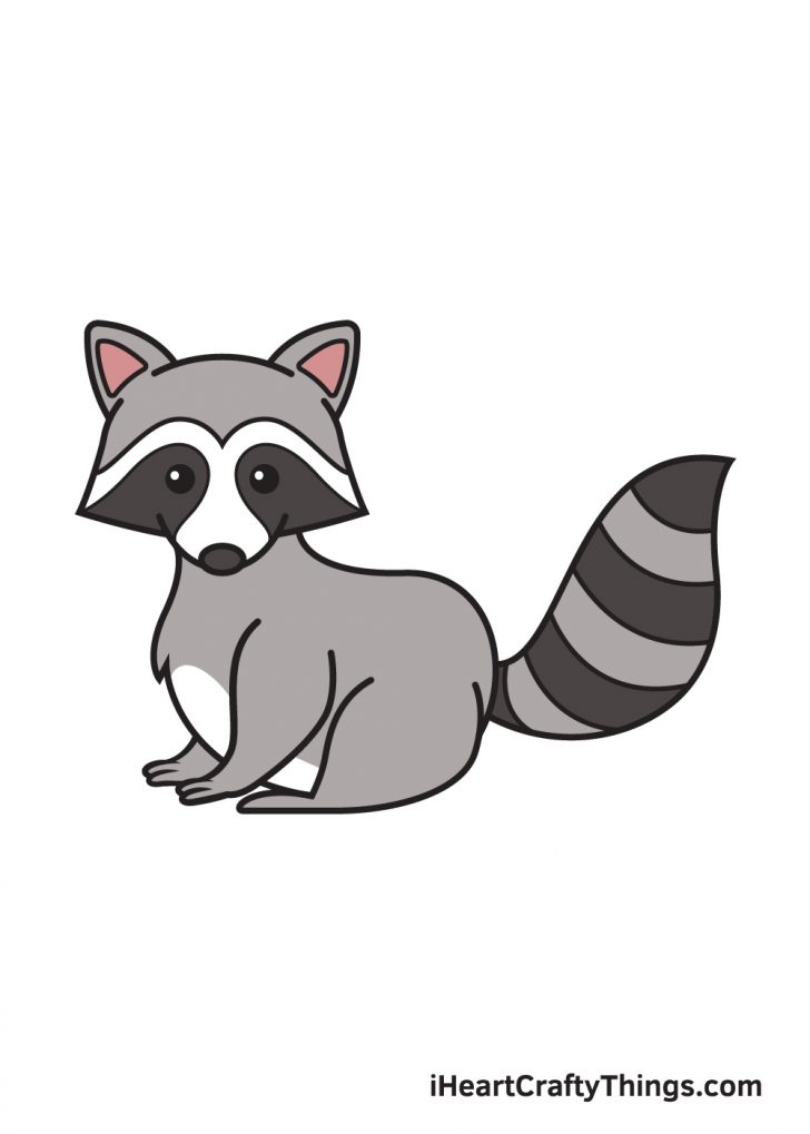 Raccoon Drawing How To Draw A Raccoon Step By Step