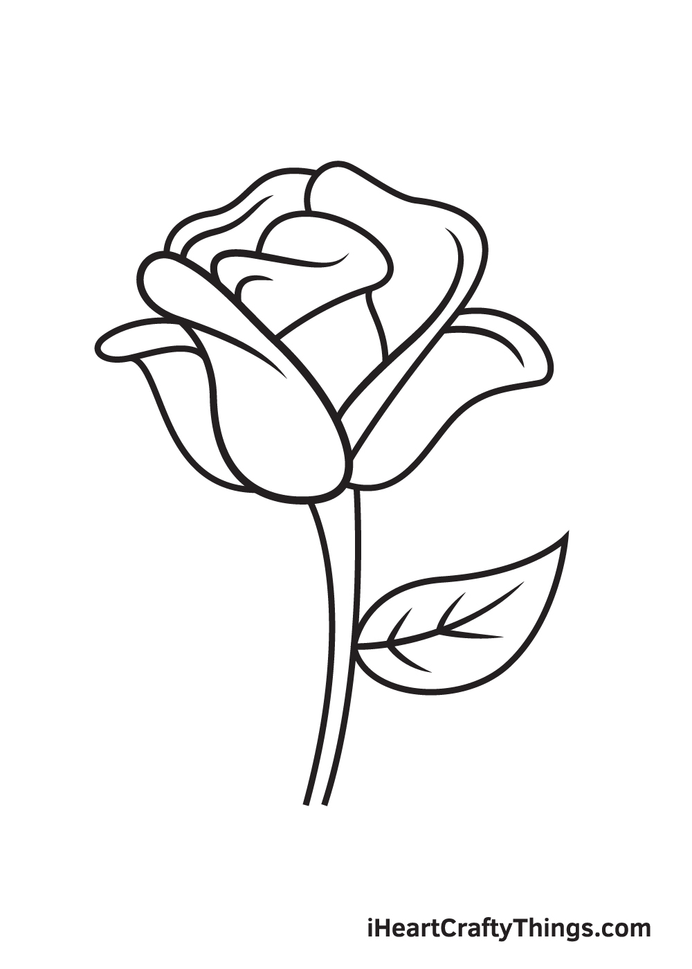 rose drawing step 9
