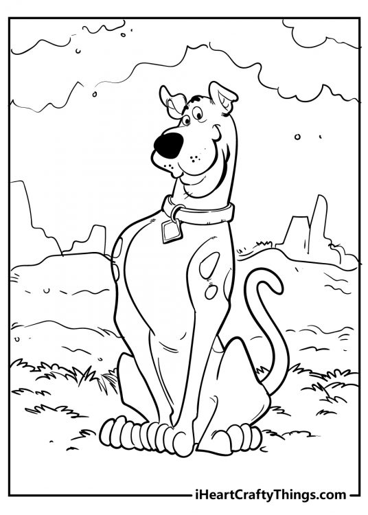 Picture presenting beloved dog Scooby Doo sitting in a grassy terrain with some rock formations behind him