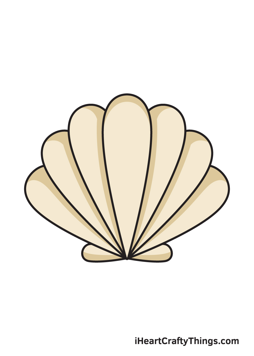 Drawing Shell Conch  Ernst Haeckel Shell Drawings HD Png Download   Transparent Png Image  PNGitem