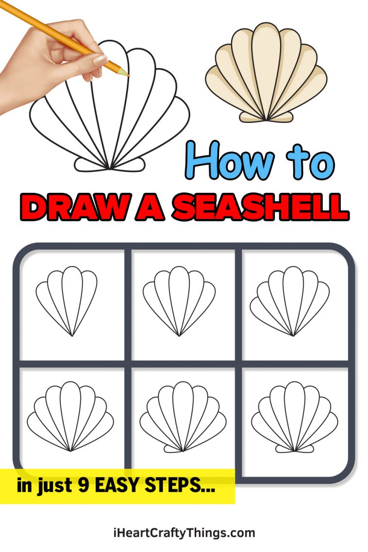 Seashell Drawing - How To Draw A Seashell Step By Step