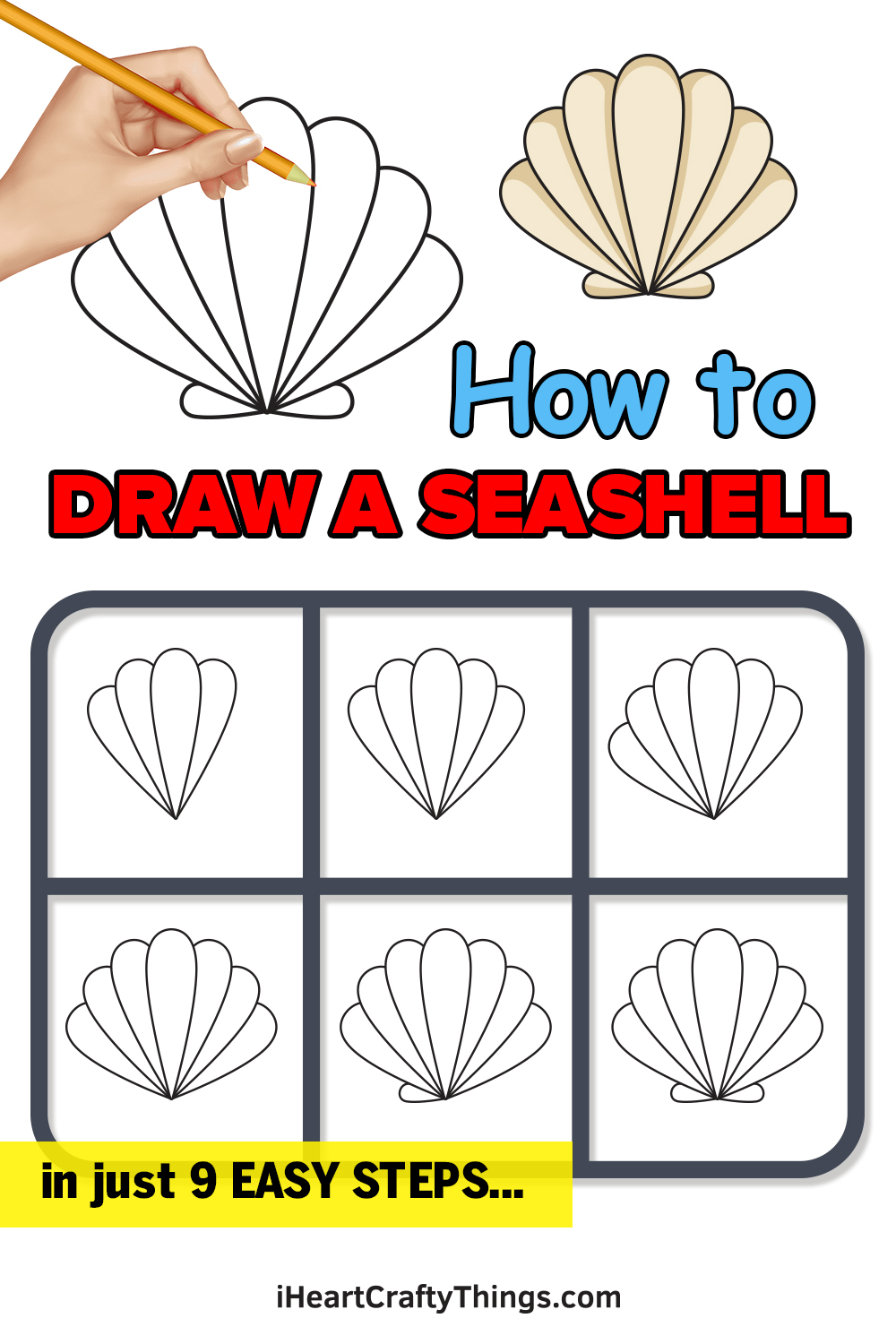 how to draw a shell