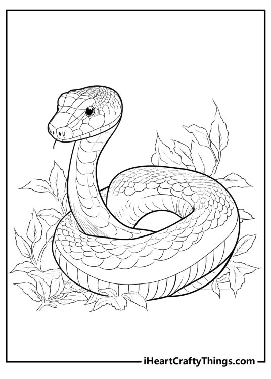 Snake Coloring Pages (100% Free Printables)