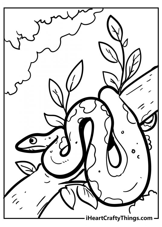 Printable coloring picture for kids featuring long snake coiled around a tree branch