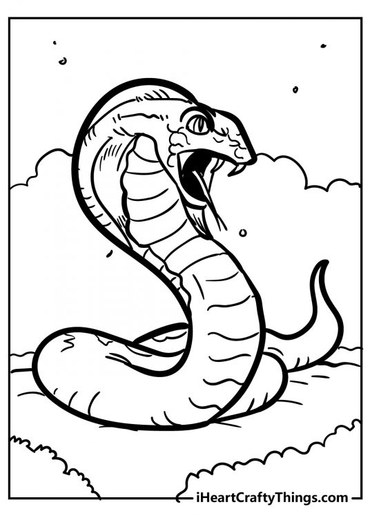 Snake-themed printable image featuring dangerous-looking rattlesnake with head turned to the right side