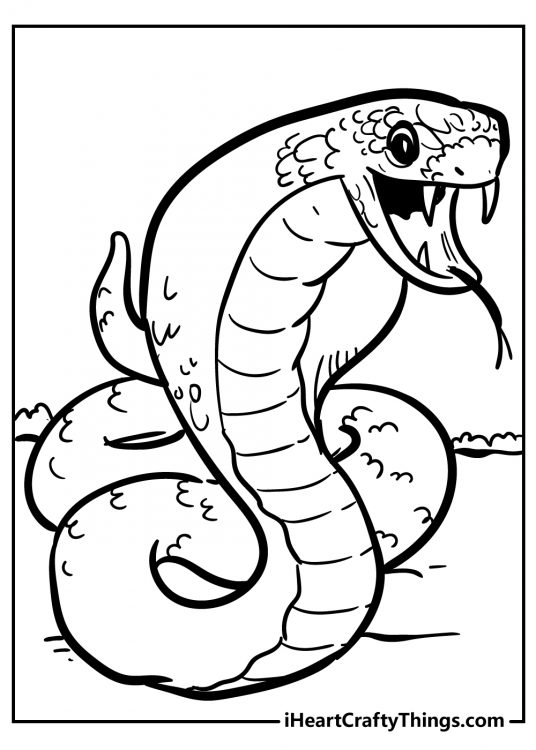 Snake-themed coloring sheet featuring a fearsome cobra showing off her sharp teeth with opened mouth